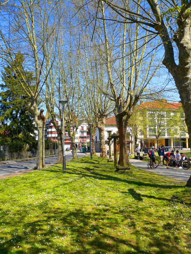 Ein Park mit grünem Gras und Bäumen, Menschen, die zu Fuß gehen und Fahrrad fahren auf einer Straße, mit Gebäuden und einem blauen Himmel im Hintergrund.