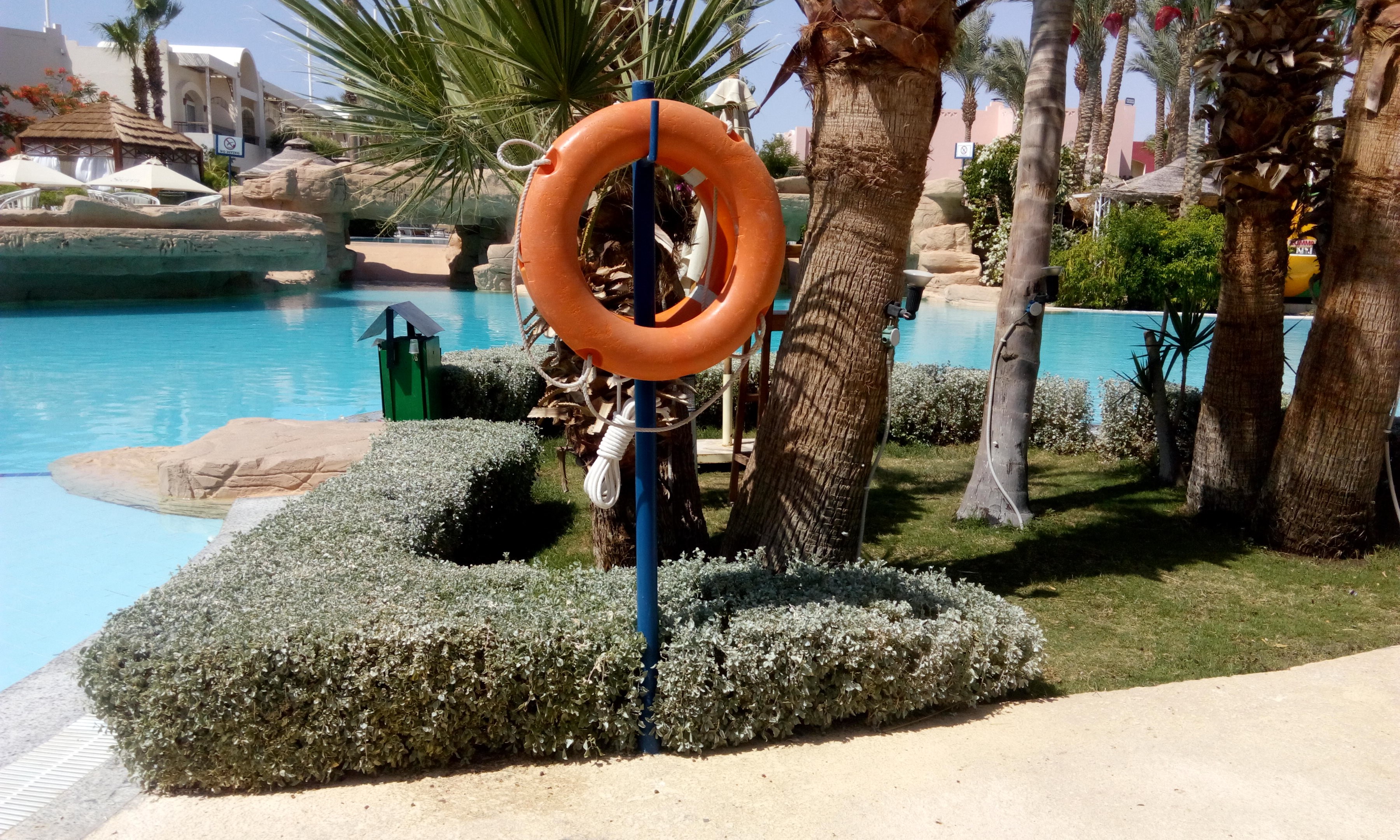 Ein Schwimmbad mit einem Schwimmreif in der Mitte, umgeben von grünem Gras, Pflanzen und Bäumen, mit Gebäuden, Sonnenschirmen und einem klaren blauen Himmel im Hintergrund.