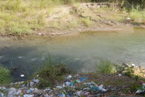 Ein Flussufer mit einem Haufen Müll an der Seite, umgeben von saftigem Grün und Pflanzen, mit kristallklarem Wasser.