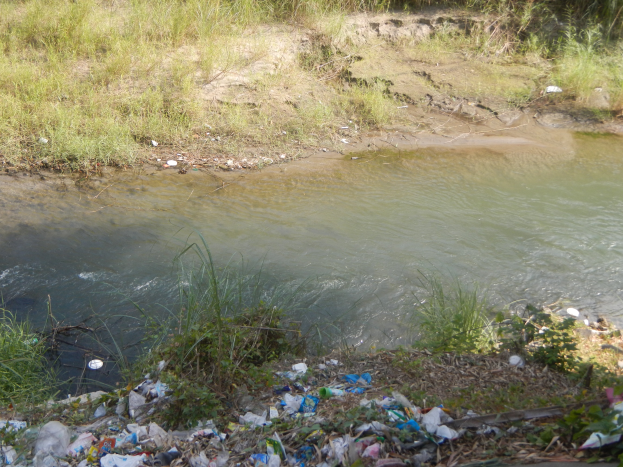 Ein Flussufer mit einem Haufen Müll an der Seite, umgeben von saftigem Grün und Pflanzen, mit kristallklarem Wasser.