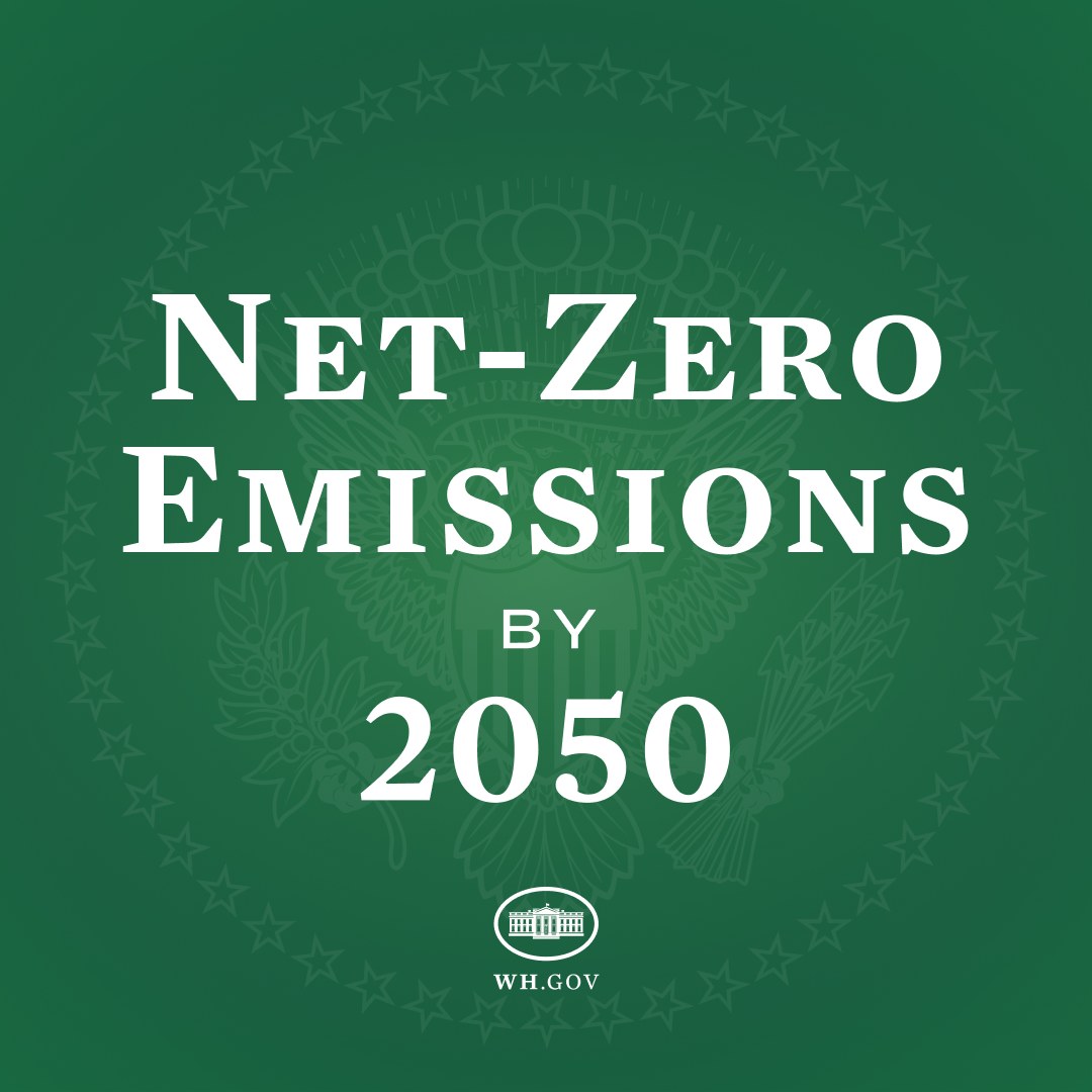 Weißer fetter Text "net-zero emissions by 2050" auf einem grünen Hintergrund.