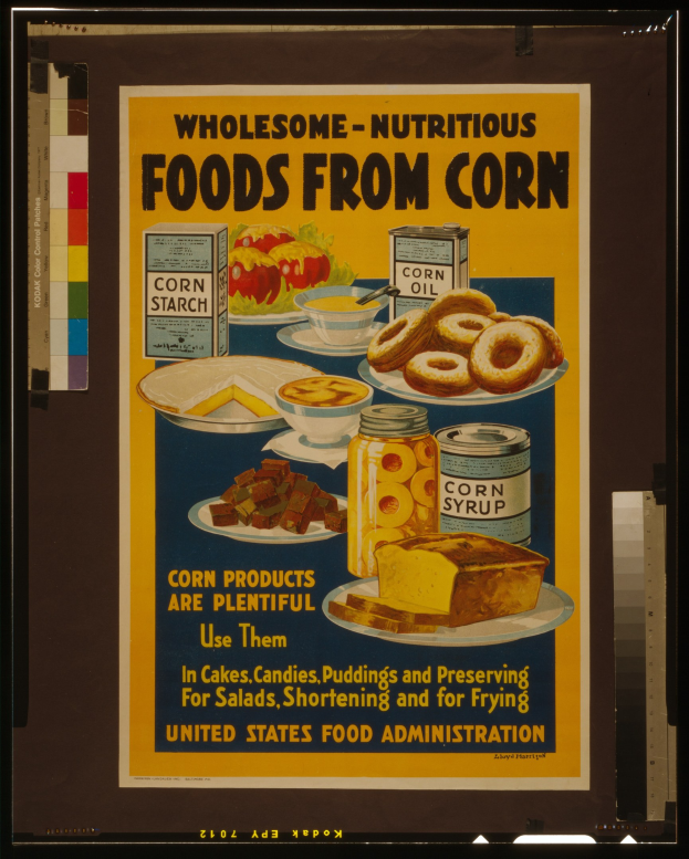 Buntes Plakat der United States Food Administration mit Abbildungen von Obst, Gemüse, Getreide und Milchprodukten sowie der schwarzen, fetten Schrift "Gesunde-Nährstoffreiche Lebensmittel aus Mais" auf hellblauem Hintergrund.