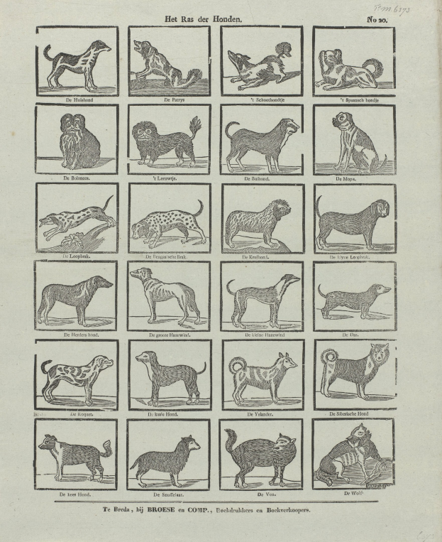 Ein offenes altes Buch mit Abbildungen verschiedener Hunderassen neben beschreibendem Text.