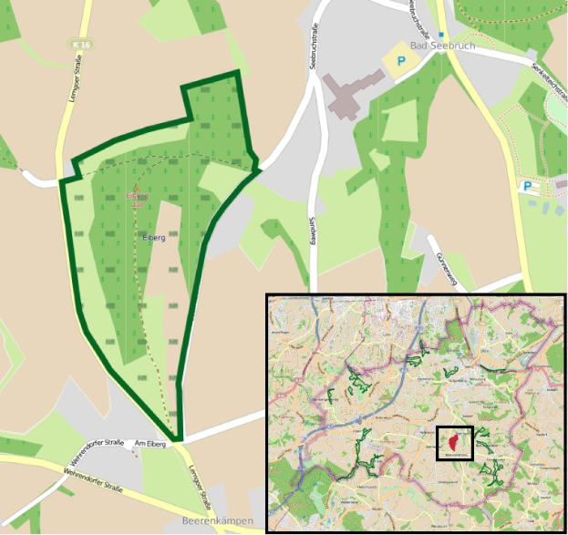 Detailierte Stadtkarte, die einen zentralen grünen Bereich als geplanten Entwicklungsstandort markiert, mit umliegenden Stra├čen, Geb├Ąuden und Landmarken.