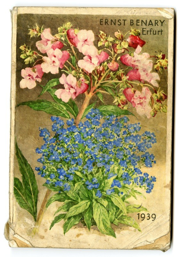 Ein altes Buch mit einer detaillierten, leuchtenden Painting eines pink-blauen Blumenstrauchs mit sichtbarem Text auf dem Cover.