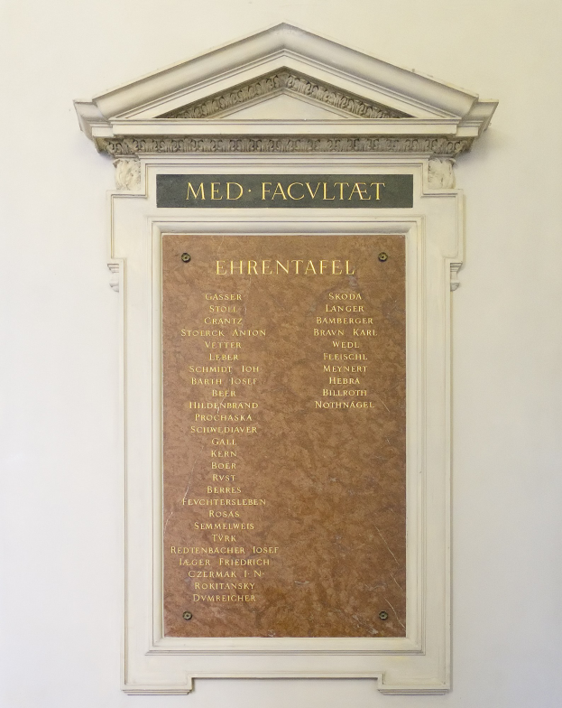 Rechteckige weiße Plakette mit schwarzer fetter Schrift "Med Facilitat" an einer Gebäudewand angebracht.