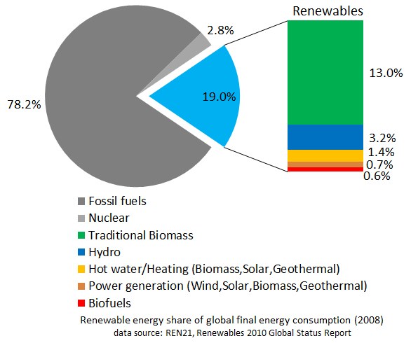 Tortendiagramm, das den globalen erneuerbaren Energieverbrauch im Jahr 2008 zeigt, unterteilt in Abschnitte für fossile Brennstoffe, Kernenergie, Wasserkraft, Heißwasserheizung, Biomasse, Solarenergie, Geothermie und Biokraftstoffe.