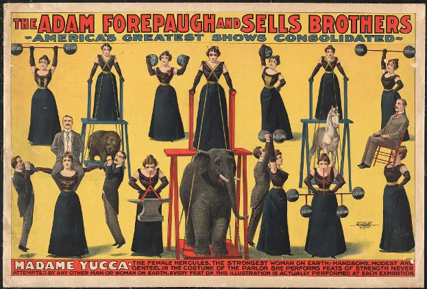 Plakat für Adam Forepaugh und Sells Brothers, Americas Greatest Shows Consolidated, das eine Gruppe von Menschen auf Hockern mit einem Elefanten in der Mitte zeigt, einige halten Gegenstände und Text.
