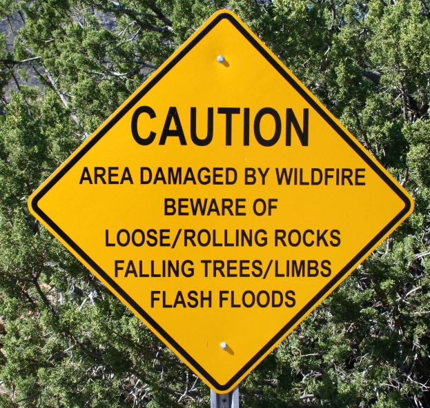 Gelbes Warnschild an einem Pfahl in der Vordergrund mit Bäumen im Hintergrund, auf dem steht "Vorsicht: Wildfire-Geschädigtes Gebiet - Achten Sie auf lockere rollende Steine, umstürzende Bäume, Äste, Flash Floods".